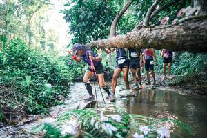 BIB: 
                            <button type="button" onclick="openModal(25435715)" class="btn btn-primary btn-sm float-right btn-popup" data-toggle="modal" data-target=".modal-high-quality">
                        <i class="fas fa-shopping-cart"></i> Add to Cart
                    </button>
                                            <button type="button" onclick="isThisMe(25435715, true)" class="btn btn-success btn-sm float-right btn-popup btn-isme hidden" data-toggle="tooltip" data-placement="bottom" title="นี่คือรูปของคุณใช่ไหม คลิกที่นี่เพื่อเอาเข้าอัลบั้ม">
                        <i class="fas fa-plus"></i> Add to album
                    </button>
                    <button type="button" onclick="isThisMe(25435715, false)" class="btn btn-warning btn-sm float-right btn-popup btn-isnotme hidden">
                        <i class="fas fa-ban"></i> Remove from album
                    </button>